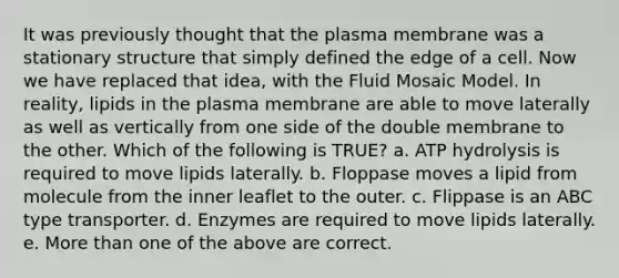 It was previously thought that the plasma membrane was a stationary structure that simply defined the edge of a cell. Now we have replaced that idea, with the Fluid Mosaic Model. In reality, lipids in the plasma membrane are able to move laterally as well as vertically from one side of the double membrane to the other. Which of the following is TRUE? a. ATP hydrolysis is required to move lipids laterally. b. Floppase moves a lipid from molecule from the inner leaflet to the outer. c. Flippase is an ABC type transporter. d. Enzymes are required to move lipids laterally. e. More than one of the above are correct.