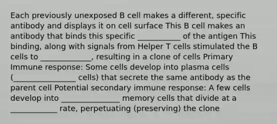 Each previously unexposed B cell makes a different, specific antibody and displays it on cell surface This B cell makes an antibody that binds this specific ___________ of the antigen This binding, along with signals from Helper T cells stimulated the B cells to _____________, resulting in a clone of cells Primary Immune response: Some cells develop into plasma cells (________________ cells) that secrete the same antibody as the parent cell Potential secondary immune response: A few cells develop into _______________ memory cells that divide at a ____________ rate, perpetuating (preserving) the clone