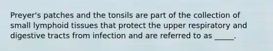 Preyer's patches and the tonsils are part of the collection of small lymphoid tissues that protect the upper respiratory and digestive tracts from infection and are referred to as _____.