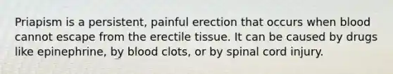 Priapism is a persistent, painful erection that occurs when blood cannot escape from the erectile tissue. It can be caused by drugs like epinephrine, by blood clots, or by spinal cord injury.