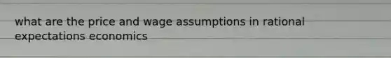 what are the price and wage assumptions in rational expectations economics