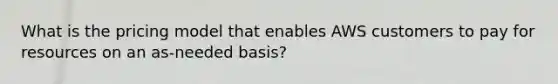 What is the pricing model that enables AWS customers to pay for resources on an as-needed basis?