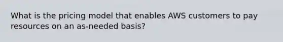 What is the pricing model that enables AWS customers to pay resources on an as-needed basis?