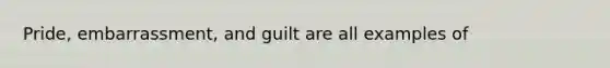 Pride, embarrassment, and guilt are all examples of