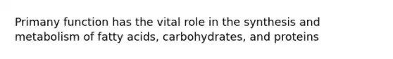 Primany function has the vital role in the synthesis and metabolism of fatty acids, carbohydrates, and proteins