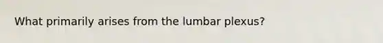 What primarily arises from the lumbar plexus?