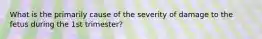 What is the primarily cause of the severity of damage to the fetus during the 1st trimester?