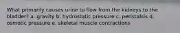 What primarily causes urine to flow from the kidneys to the bladder? a. gravity b. hydrostatic pressure c. peristalsis d. osmotic pressure e. skeletal muscle contractions