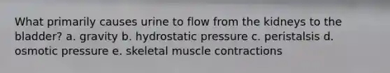 What primarily causes urine to flow from the kidneys to the bladder? a. gravity b. hydrostatic pressure c. peristalsis d. osmotic pressure e. skeletal <a href='https://www.questionai.com/knowledge/k0LBwLeEer-muscle-contraction' class='anchor-knowledge'>muscle contraction</a>s