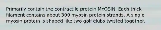 Primarily contain the contractile protein MYOSIN. Each thick filament contains about 300 myosin protein strands. A single myosin protein is shaped like two golf clubs twisted together.