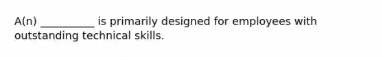 A(n) __________ is primarily designed for employees with outstanding technical skills.