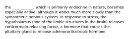 the ____ _______, which is primarily endocrine in nature, becomes especially active, although it works much more slowly than the sympathetic nervous system. In response to stress, the hypothalamus (one of the limbic structures in the brain) releases corticotropin-releasing factor, a hormone that causes the pituitary gland to release adrenocorticotropic hormone