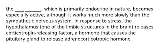 the ____ _______, which is primarily endocrine in nature, becomes especially active, although it works much more slowly than the sympathetic nervous system. In response to stress, the hypothalamus (one of the limbic structures in the brain) releases corticotropin-releasing factor, a hormone that causes the pituitary gland to release adrenocorticotropic hormone