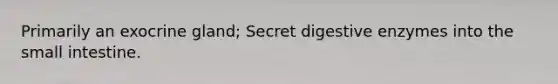 Primarily an exocrine gland; Secret digestive enzymes into the small intestine.