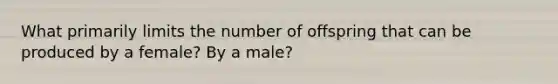 What primarily limits the number of offspring that can be produced by a female? By a male?