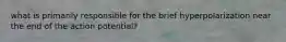 what is primarily responsible for the brief hyperpolarization near the end of the action potential?