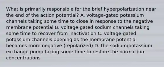 What is primarily responsible for the brief hyperpolarization near the end of the action potential? A. voltage-gated potassium channels taking some time to close in response to the negative membrane potential B. voltage-gated sodium channels taking some time to recover from inactivation C. voltage-gated potassium channels opening as the membrane potential becomes more negative (repolarized) D. the sodium/potassium exchange pump taking some time to restore the normal ion concentrations