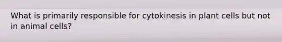 What is primarily responsible for cytokinesis in plant cells but not in animal cells?