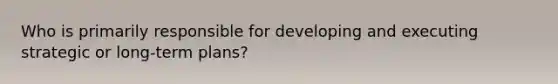 Who is primarily responsible for developing and executing strategic or long-term plans?