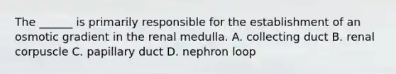 The ______ is primarily responsible for the establishment of an osmotic gradient in the renal medulla. A. collecting duct B. renal corpuscle C. papillary duct D. nephron loop