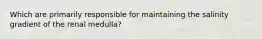 Which are primarily responsible for maintaining the salinity gradient of the renal medulla?