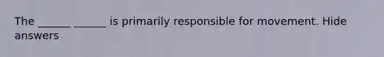 The ______ ______ is primarily responsible for movement. Hide answers