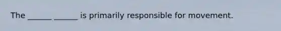 The ______ ______ is primarily responsible for movement.