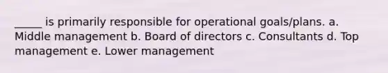 _____ is primarily responsible for operational goals/plans. a. Middle management b. Board of directors c. Consultants d. Top management e. Lower management