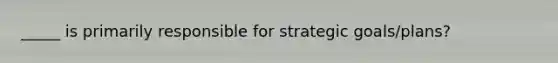 _____ is primarily responsible for strategic goals/plans?