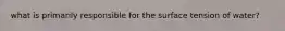 what is primarily responsible for the surface tension of water?