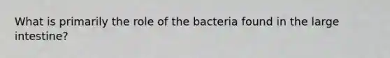 What is primarily the role of the bacteria found in the large intestine?