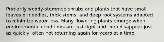 Primarily woody-stemmed shrubs and plants that have small leaves or needles, thick stems, and deep root systems adapted to minimize water loss. Many flowering plants emerge when environmental conditions are just right and then disappear just as quickly, often not returning again for years at a time.