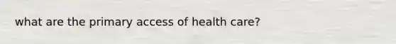 what are the primary access of health care?