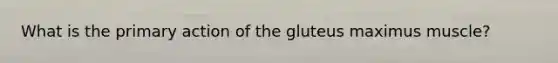 What is the primary action of the gluteus maximus muscle?