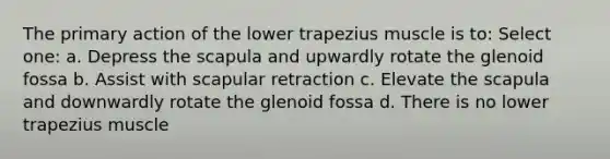 The primary action of the lower trapezius muscle is to: Select one: a. Depress the scapula and upwardly rotate the glenoid fossa b. Assist with scapular retraction c. Elevate the scapula and downwardly rotate the glenoid fossa d. There is no lower trapezius muscle