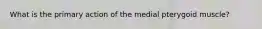 What is the primary action of the medial pterygoid muscle?