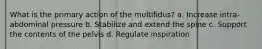 What is the primary action of the multifidus? a. Increase intra-abdominal pressure b. Stabilize and extend the spine c. Support the contents of the pelvis d. Regulate inspiration