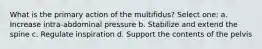 What is the primary action of the multifidus? Select one: a. Increase intra-abdominal pressure b. Stabilize and extend the spine c. Regulate inspiration d. Support the contents of the pelvis