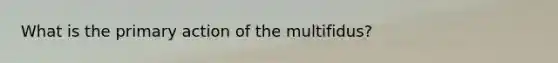 What is the primary action of the multifidus?