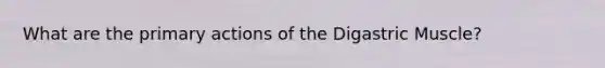 What are the primary actions of the Digastric Muscle?