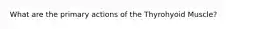 What are the primary actions of the Thyrohyoid Muscle?