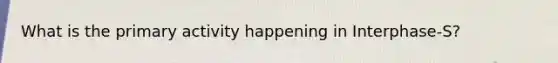 What is the primary activity happening in Interphase-S?