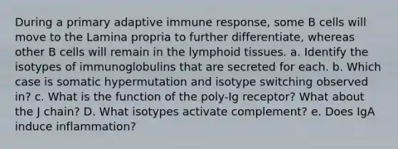 During a primary adaptive immune response, some B cells will move to the Lamina propria to further differentiate, whereas other B cells will remain in the lymphoid tissues. a. Identify the isotypes of immunoglobulins that are secreted for each. b. Which case is somatic hypermutation and isotype switching observed in? c. What is the function of the poly-Ig receptor? What about the J chain? D. What isotypes activate complement? e. Does IgA induce inflammation?