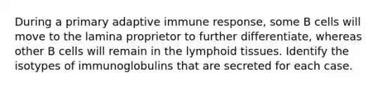 During a primary adaptive immune response, some B cells will move to the lamina proprietor to further differentiate, whereas other B cells will remain in the lymphoid tissues. Identify the isotypes of immunoglobulins that are secreted for each case.