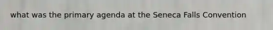 what was the primary agenda at the Seneca Falls Convention