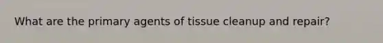 What are the primary agents of tissue cleanup and repair?