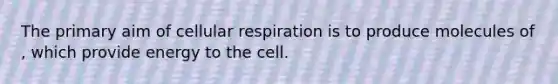 The primary aim of cellular respiration is to produce molecules of , which provide energy to the cell.