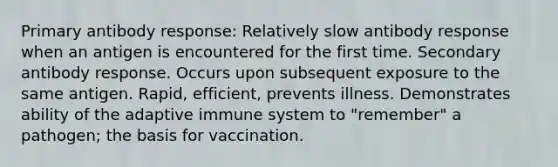 Primary antibody response: Relatively slow antibody response when an antigen is encountered for the first time. Secondary antibody response. Occurs upon subsequent exposure to the same antigen. Rapid, efficient, prevents illness. Demonstrates ability of the adaptive immune system to "remember" a pathogen; the basis for vaccination.