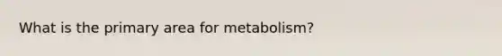 What is the primary area for metabolism?