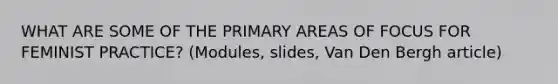 WHAT ARE SOME OF THE PRIMARY AREAS OF FOCUS FOR FEMINIST PRACTICE? (Modules, slides, Van Den Bergh article)